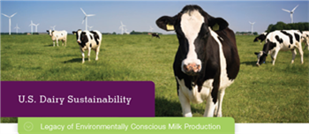sustainability brochure